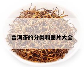 普洱茶的分类和图片大全