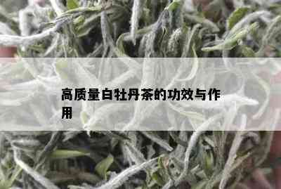 高质量白牡丹茶的功效与作用