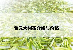 昔元大树茶介绍与价格