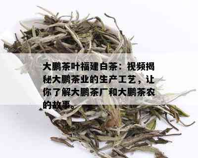 大鹏茶叶福建白茶：视频揭秘大鹏茶业的生产工艺，让你了解大鹏茶厂和大鹏茶农的故事。