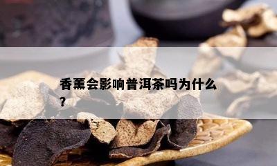 香薰会影响普洱茶吗为什么？