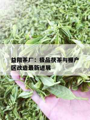 益阳茶厂：极品茯茶与棚户区改造最新进展