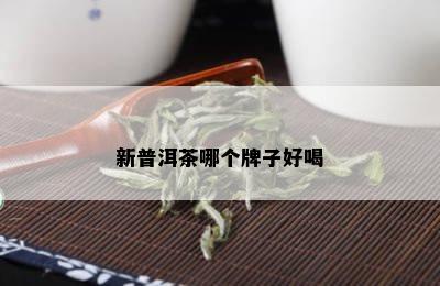 新普洱茶哪个牌子好喝