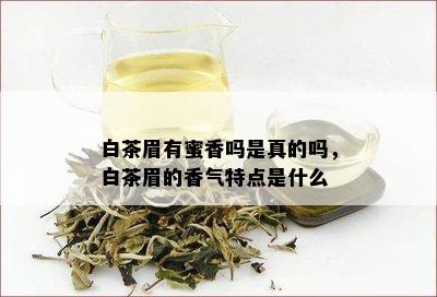 白茶眉有蜜香吗是真的吗，白茶眉的香气特点是什么