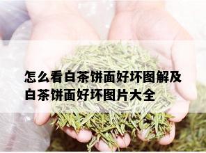 怎么看白茶饼面好坏图解及白茶饼面好坏图片大全