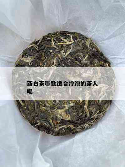 新白茶哪款适合冷泡的茶人喝