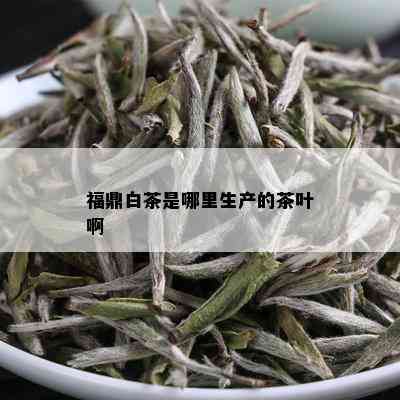 福鼎白茶是哪里生产的茶叶啊