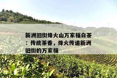 新洲旧街烽火山万家福白茶：传统茶香，烽火传递新洲旧街的万家福