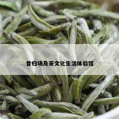 昔归场及茶文化生活体验馆