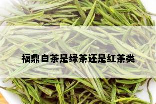 福鼎白茶是绿茶还是红茶类