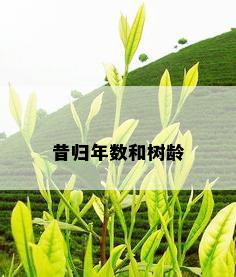 昔归年数和树龄