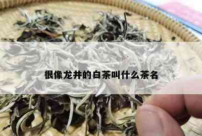 很像龙井的白茶叫什么茶名