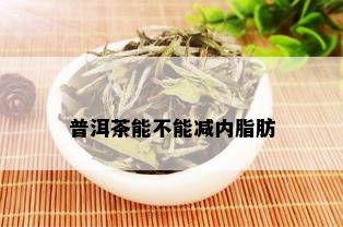 普洱茶能不能减内脂肪