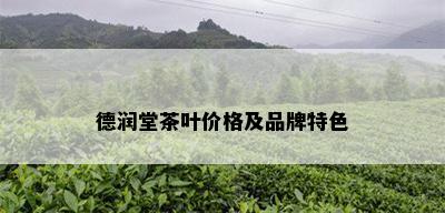 德润堂茶叶价格及品牌特色