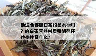 最适合存储白茶的是木橱吗？的白茶容器材质和储存环境条件是什么？