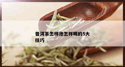 普洱茶怎样泡怎样喝的5大技巧