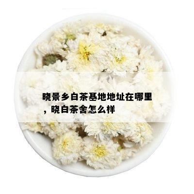 晓景乡白茶基地地址在哪里，晓白茶舍怎么样