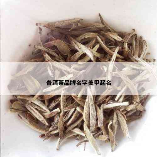 普洱茶品牌名字美甲起名