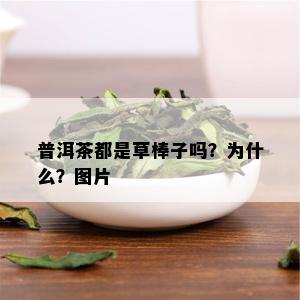 普洱茶都是草棒子吗？为什么？图片