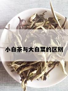 小白茶与大白菜的区别