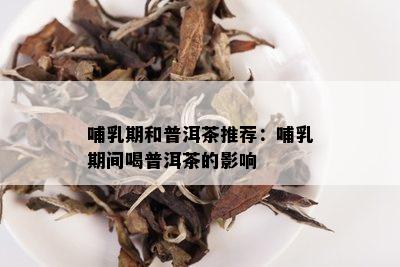 哺乳期和普洱茶推荐：哺乳期间喝普洱茶的影响