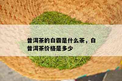 普洱茶的白霸是什么茶，白普洱茶价格是多少