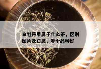 白牡丹眉属于什么茶，区别图片及口感，哪个品种好