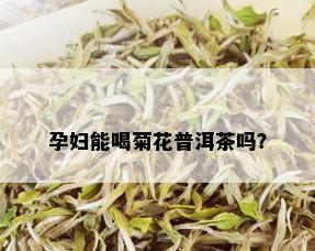 孕妇能喝菊花普洱茶吗？