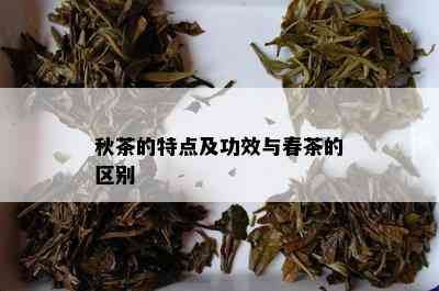 秋茶的特点及功效与春茶的区别