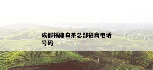 成都福鼎白茶总部招商电话号码