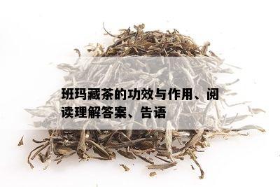 班玛藏茶的功效与作用、阅读理解答案、告语