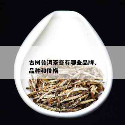 古树普洱茶膏有哪些品牌、品种和价格