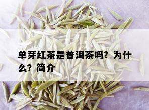 单芽红茶是普洱茶吗？为什么？简介