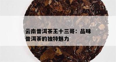 云南普洱茶王十三哥：品味普洱茶的独特魅力