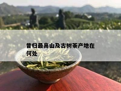 昔归更高山及古树茶产地在何处