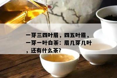 一芽三四叶眉，四五叶眉，一芽一叶白茶：眉几芽几叶，还有什么茶？