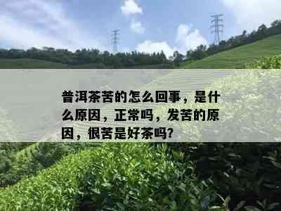 普洱茶苦的怎么回事，是什么原因，正常吗，发苦的原因，很苦是好茶吗？