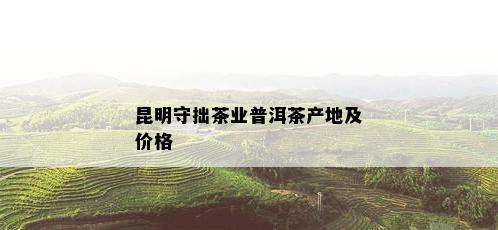 昆明守拙茶业普洱茶产地及价格