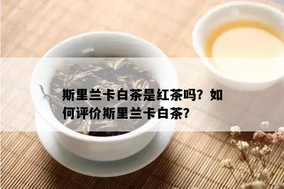 斯里兰卡白茶是红茶吗？如何评价斯里兰卡白茶？