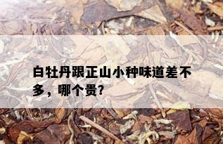 白牡丹跟正山小种味道差不多，哪个贵？