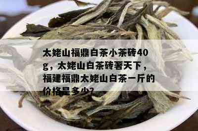 太姥山福鼎白茶小茶砖40g，太姥山白茶砖著天下，福建福鼎太姥山白茶一斤的价格是多少？