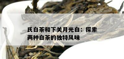 氏白茶和下关月光白：探索两种白茶的独特风味