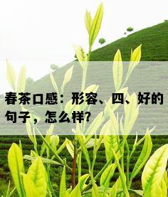 春茶口感：形容、四、好的句子，怎么样？