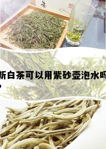 新白茶可以用紫砂壶泡水吗？