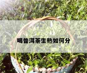 喝普洱茶生熟如何分