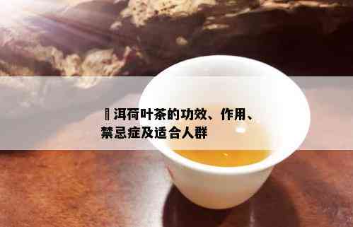 潽洱荷叶茶的功效、作用、禁忌症及适合人群