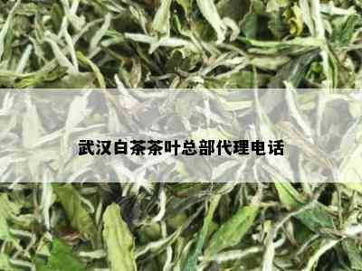 武汉白茶茶叶总部代理电话