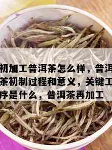 初加工普洱茶怎么样，普洱茶初制过程和意义，关键工序是什么，普洱茶再加工