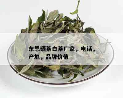 东恩硒茶白茶厂家，电话，产地，品牌价值