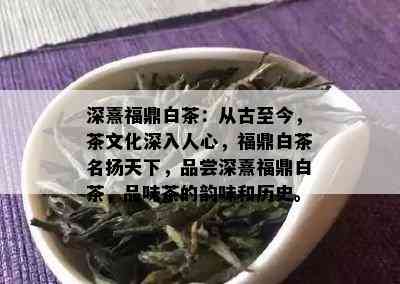 深熹福鼎白茶：从古至今，茶文化深入人心，福鼎白茶名扬天下，品尝深熹福鼎白茶，品味茶的韵味和历史。